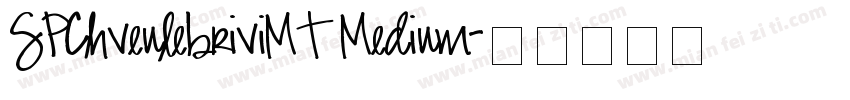 SPChveulebriviMT Medium字体转换